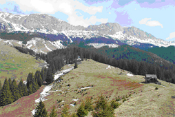 Poiana Gutanu , aflata in Masivul Bucegi, un loc de belvedere de unde 