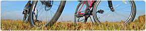 Bran Moieciu Casa Tolstoi Pension | Bikes