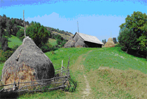 Bran Moieciu Casa Tolstoi Pension | Pestera Village